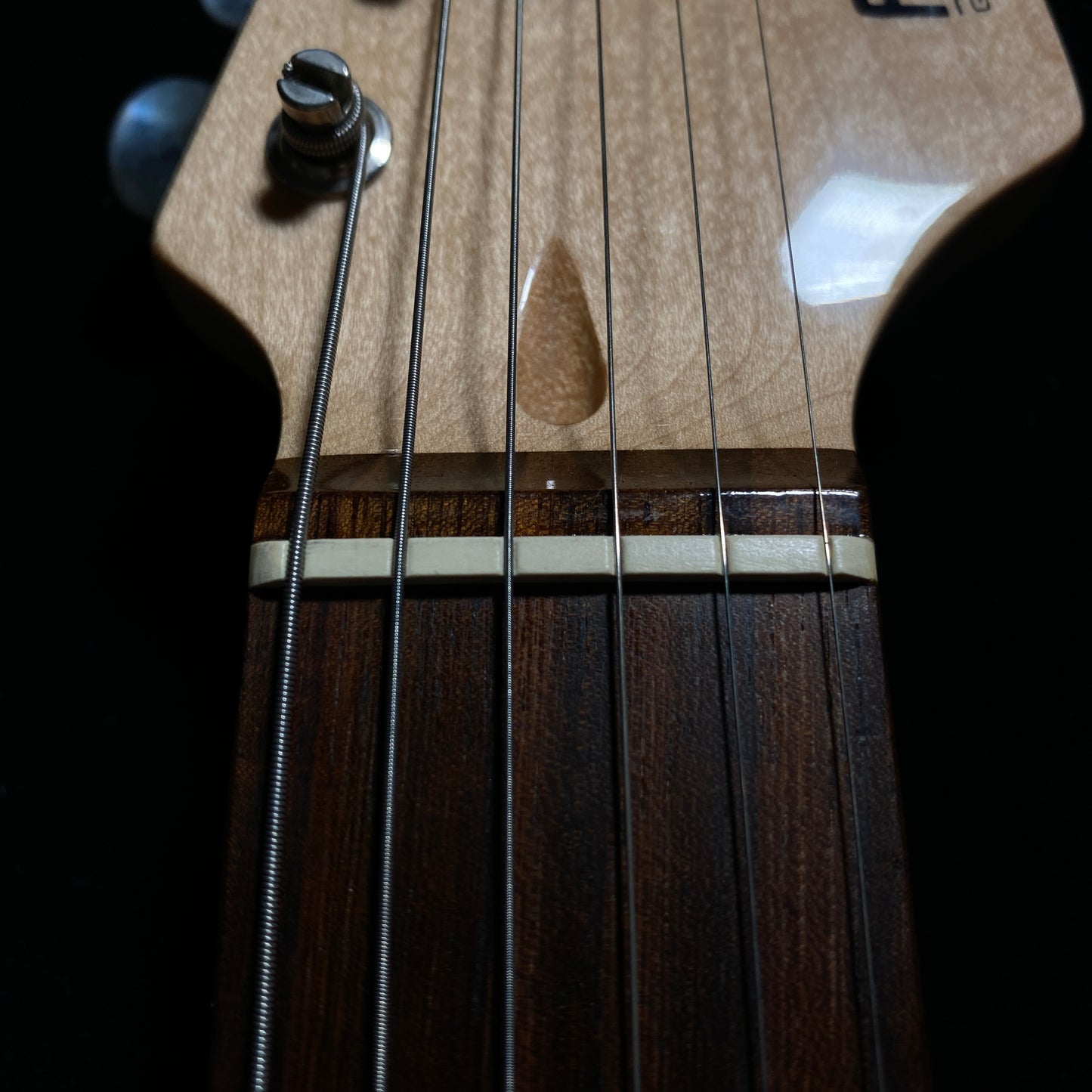 Fernandes LE-1Z 中古