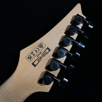 Ibanez RGV250 BK