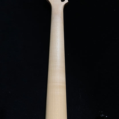 Ibanez RGV250 BK