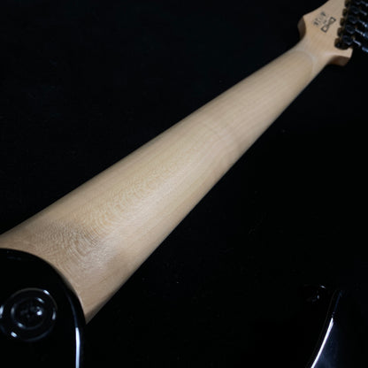 Ibanez RGV250 BK