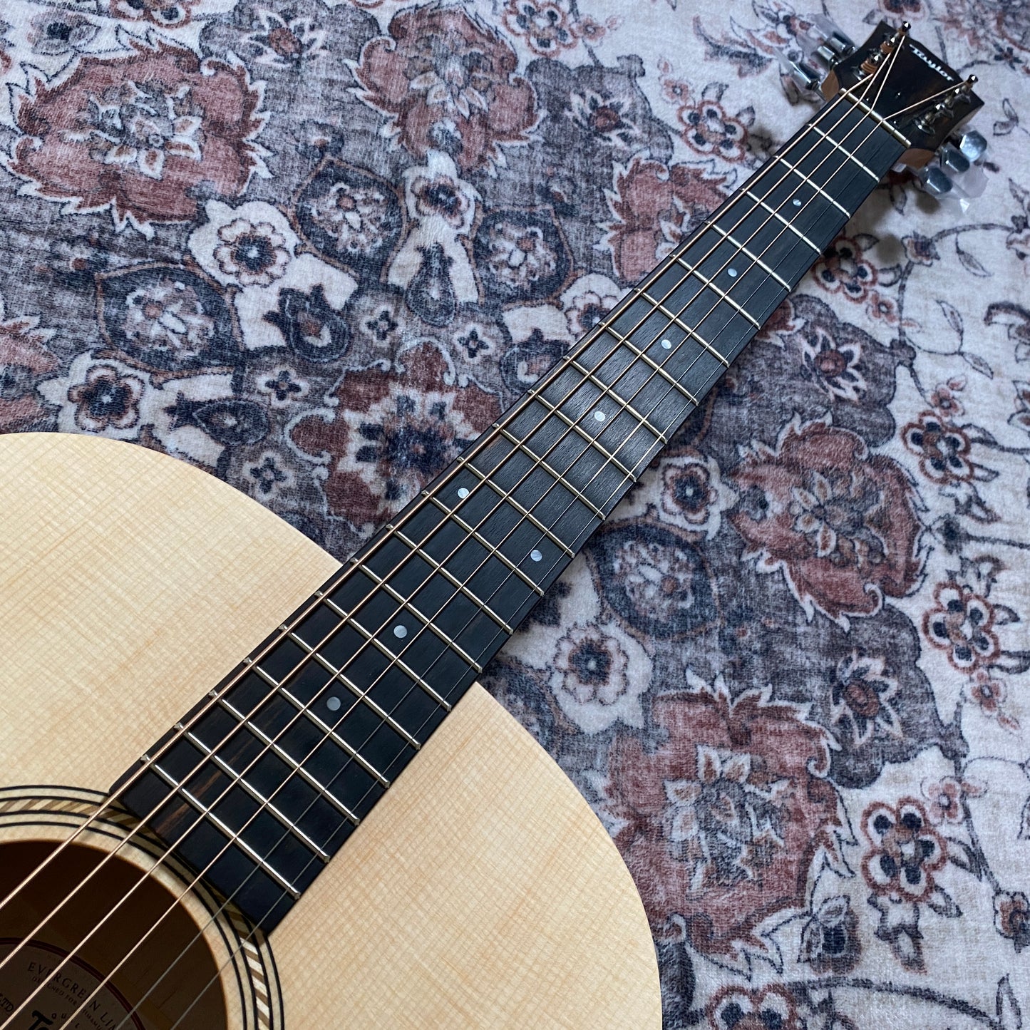 Taylor LTD EG Academy 12e