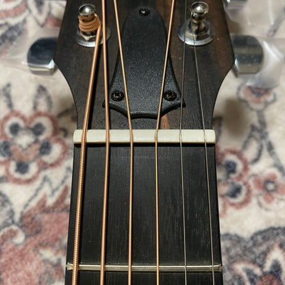 Taylor LTD EG Academy 12e