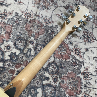 Taylor LTD EG Academy 12e